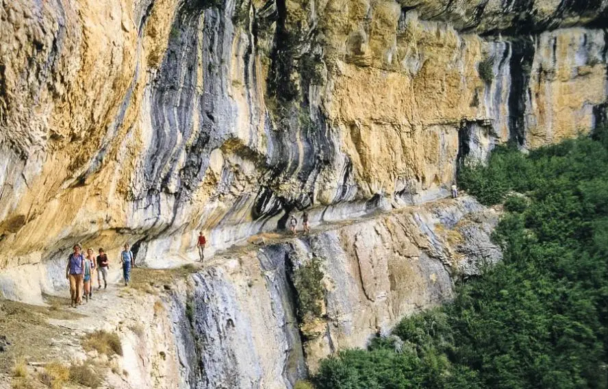 V. Fonvieille