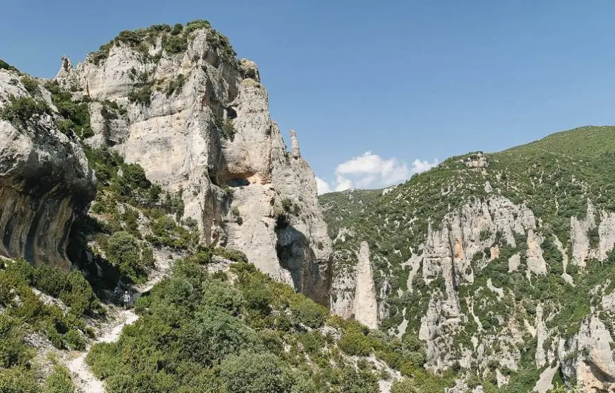 V. Fonvieille
