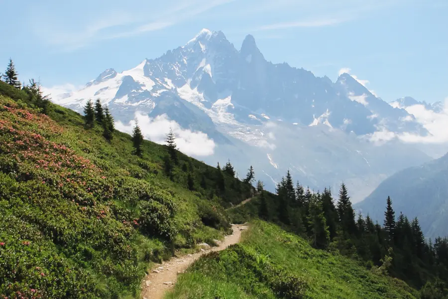Image Balade avec un âne entre Léman et Mont-Blanc