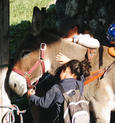balade-ane-leman-mont-blanc