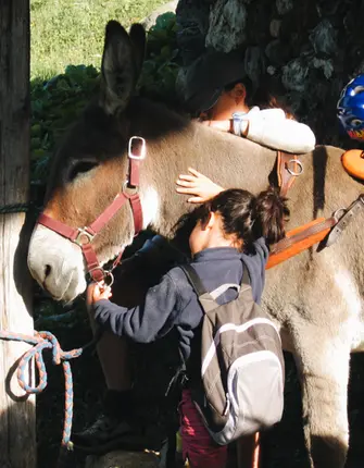 balade-ane-leman-mont-blanc