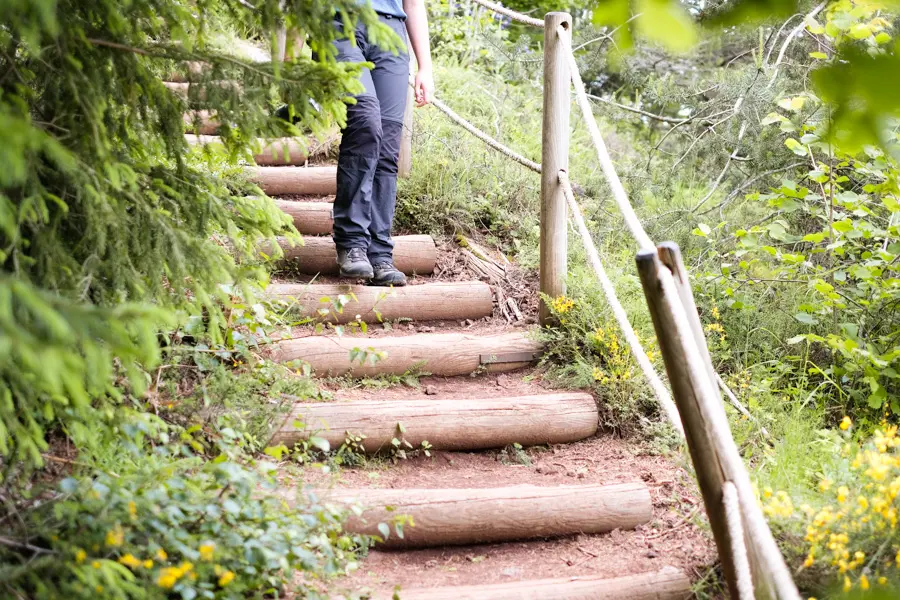 M. Coppin Randonnée au Puy de la Vache
