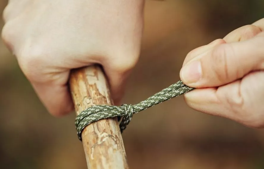 Kaninstidio Adobestock