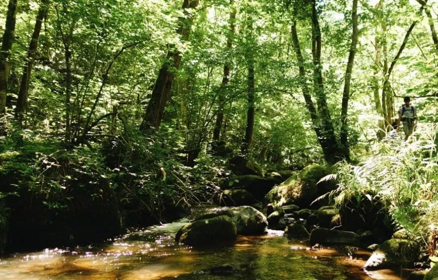 R. mezonnet Gorges de la Monne propice à l'aventure