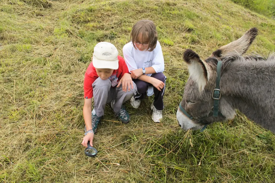 P. Saintjean Découverte de la biodiversité