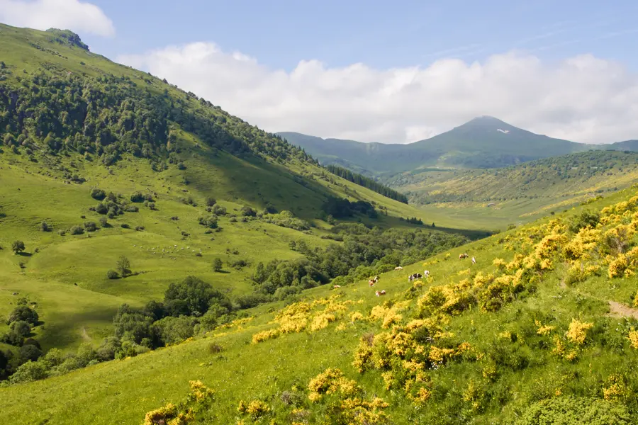 Massif du volcan cantalien