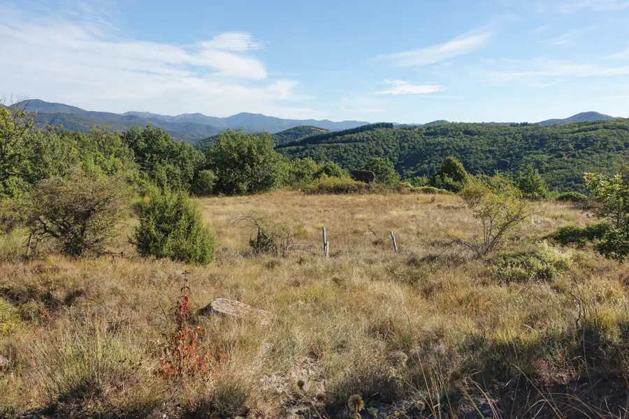Sur le causse du Larzac à travers la garrigue