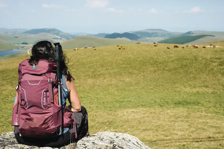 Sud du Sancy, les prémices du Cézallier