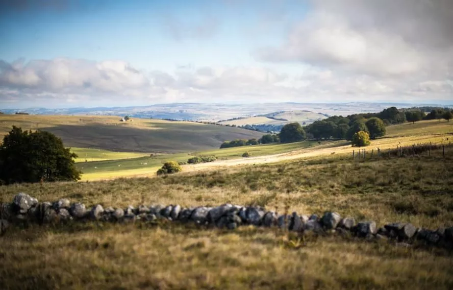 Paysage de l'Aubrac sur le chemin de la voie du Puy