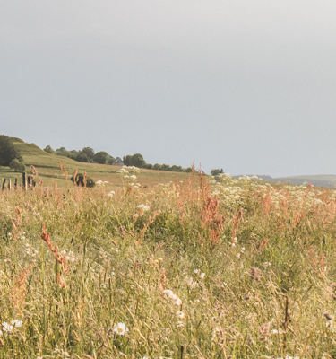 randonnee-cezaillier