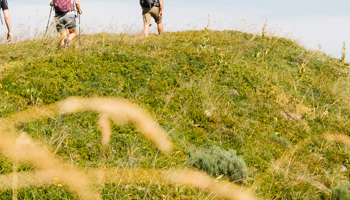 randonne-accompagnee-cantal