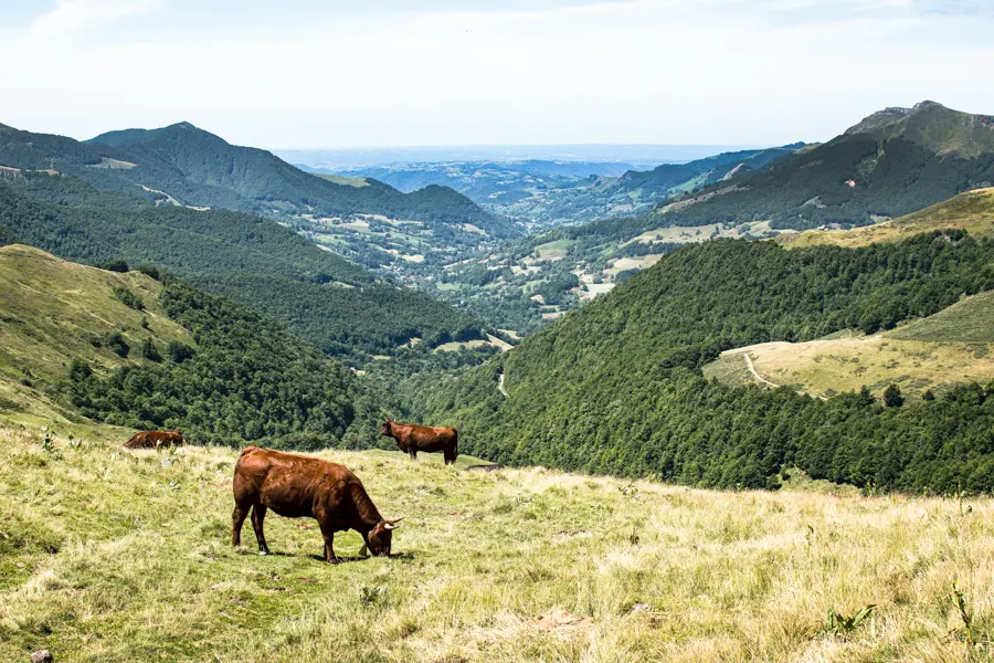 Trek - France : Authentique Cantal