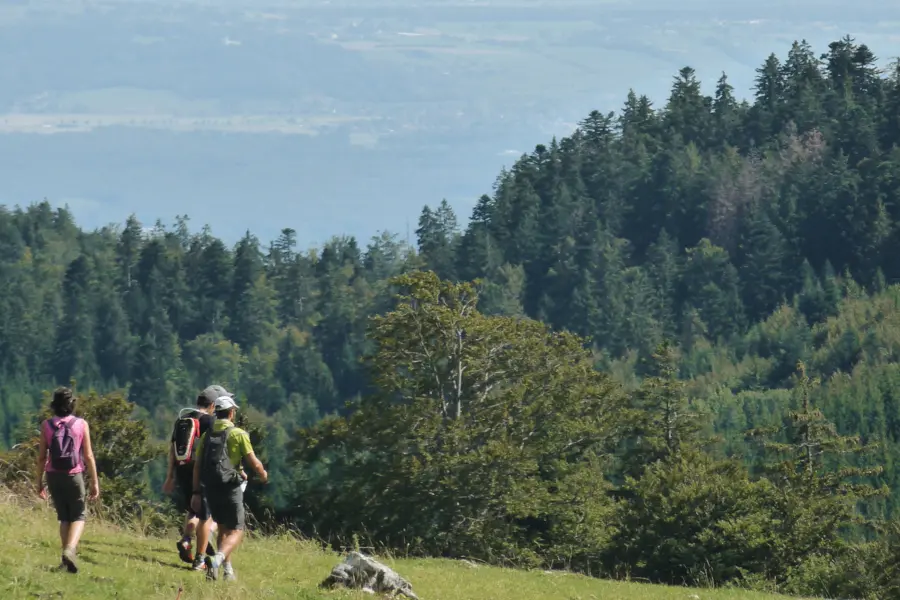 Randonnée dans la station de la Dôle