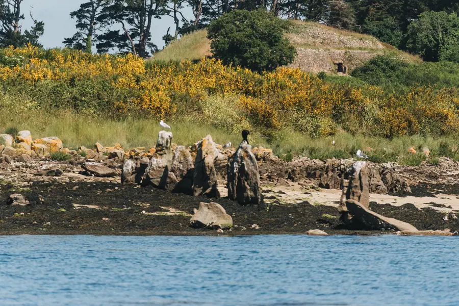Golfe et îles du Morbihan