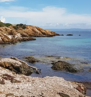 ile-porquerolles