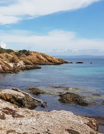 mcoppin ile-porquerolles