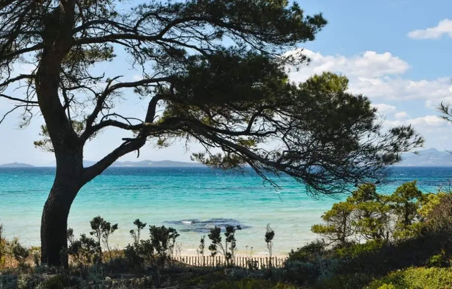 Île de Porquerolles 
