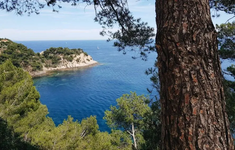 Randonnée dans le massif des Maures