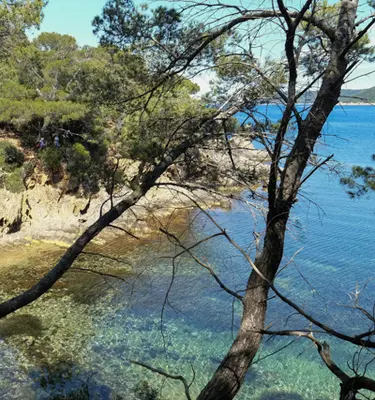 corniche-maures-iles-or