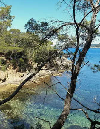 corniche-maures-iles-or