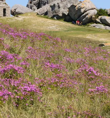 maison-de-garde-amiets