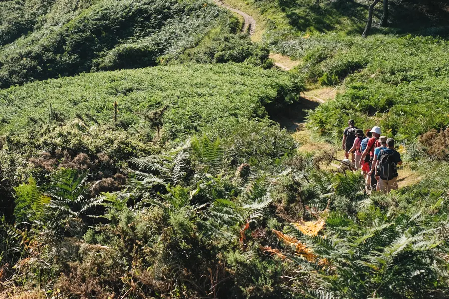 Sentier au coeur de Crozon