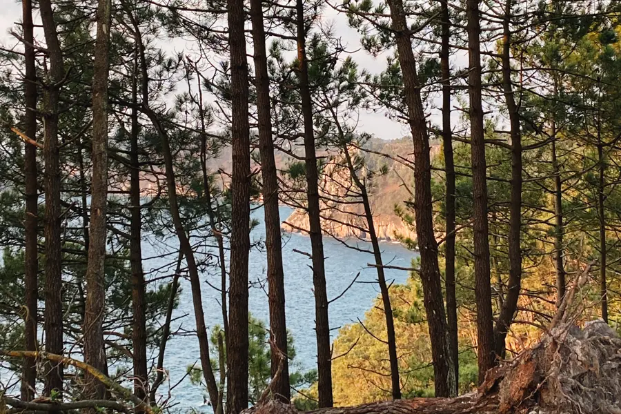 Morgat, sentier côtier Crozon