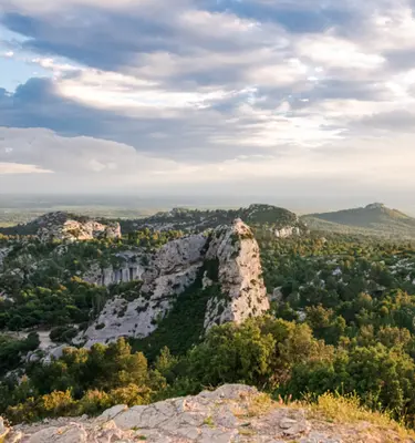 nouvel-an-provence-alpilles