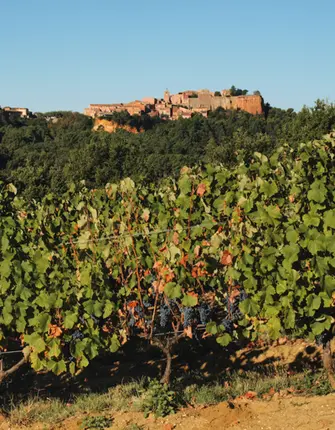 psaintjean vigne-village-luberon