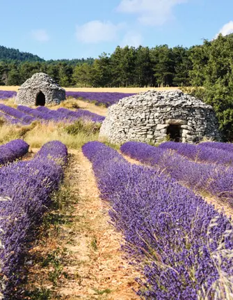jefwodadobestock-luberon borie-provence-incontournable