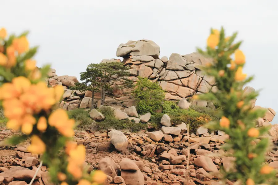 Image L'intégralité de la Côte de Granit rose