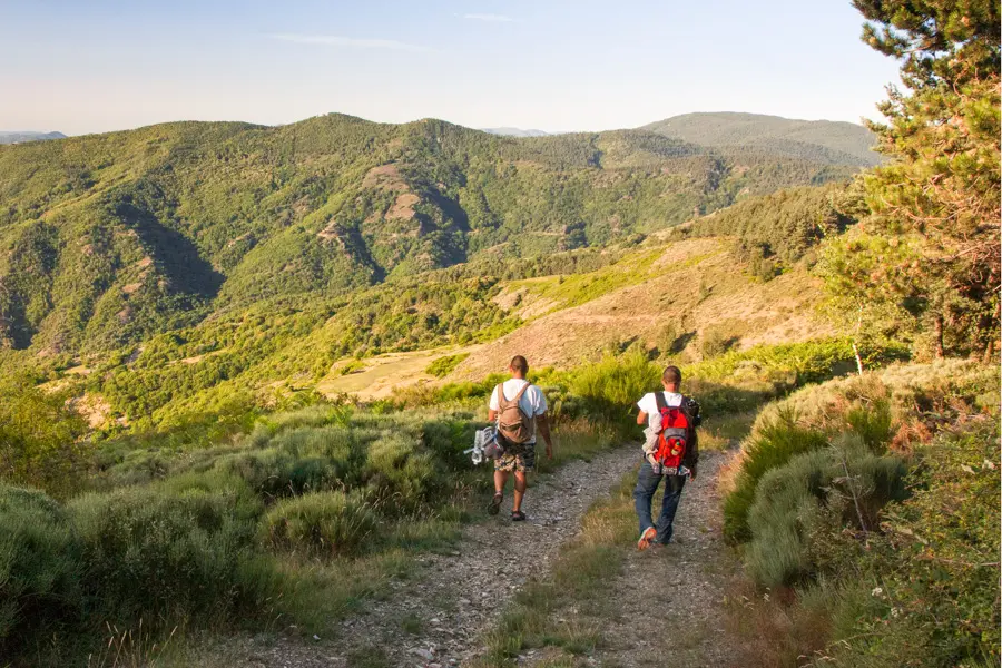 Image Cévennes méridionales