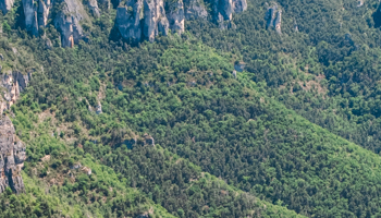 gorges-du-tarn