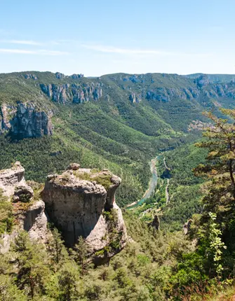 gorges-du-tarn