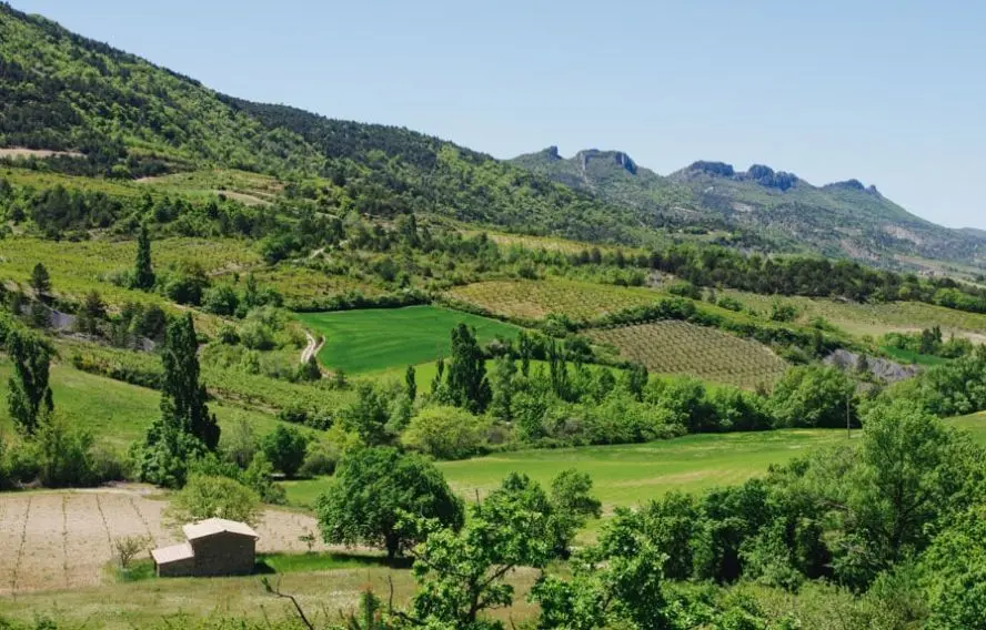 Paysage des Baronnies