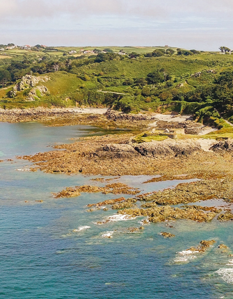 alagz-adobestock jersey