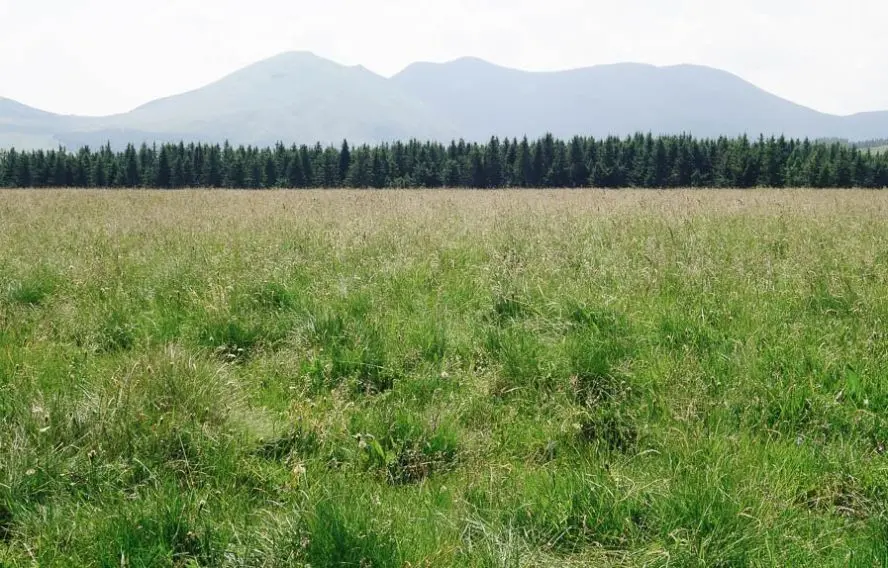 Massif du Sancy les estives du Guéry
