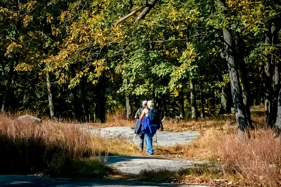 Marche nordique sur les volcans d'Auvergne