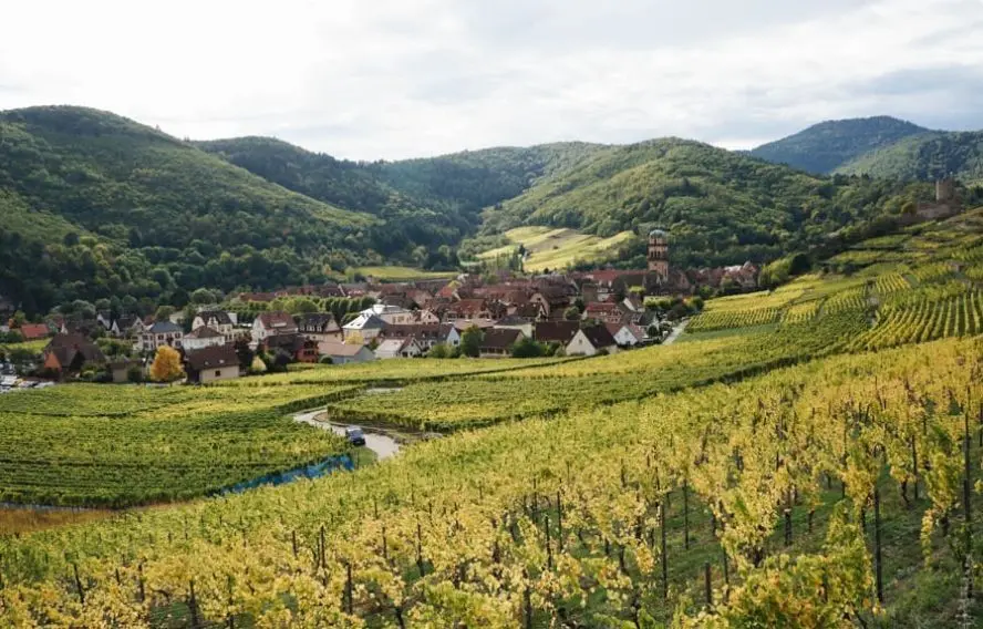 Trek - France : Marche nordique en Alsace