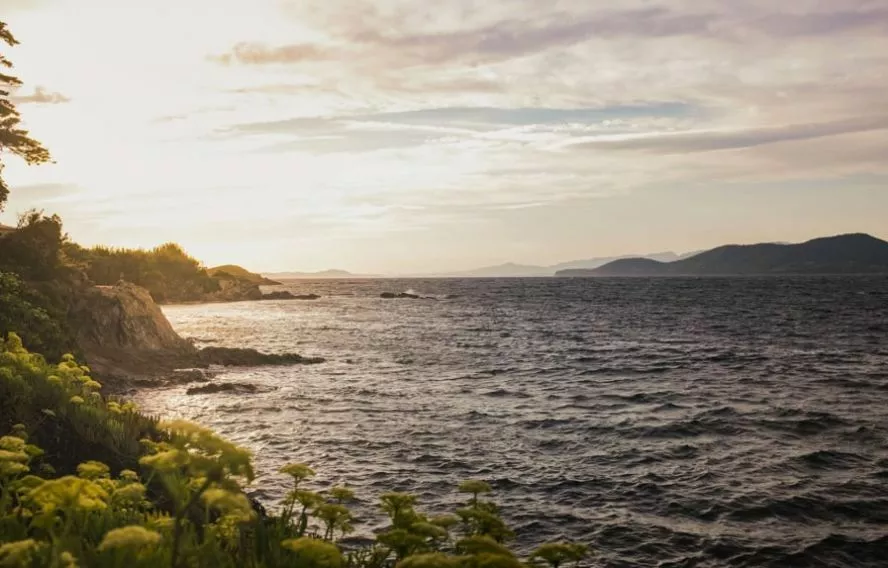 Presqu'île de Giens