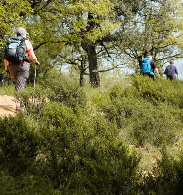 marche-nordique-lavendou