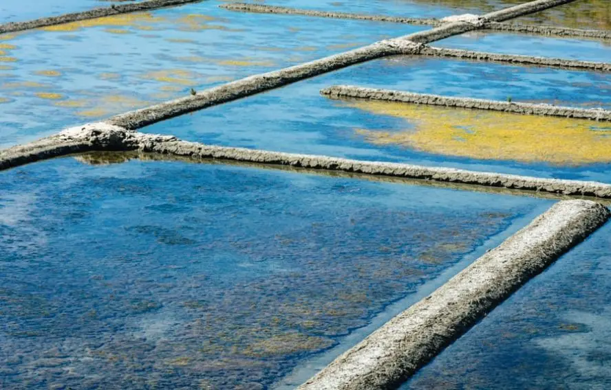 Presqu'île de Guérande