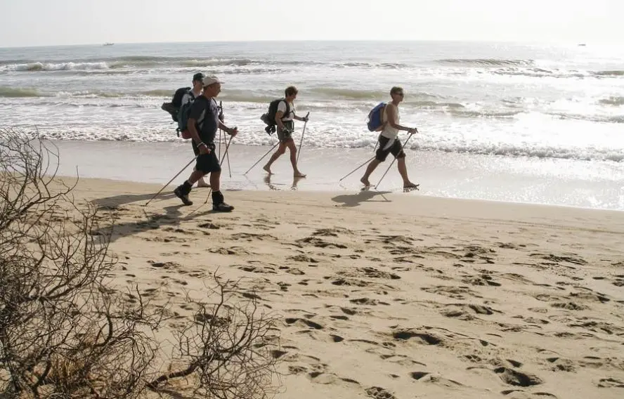F. Bonte Les plages de Camargue en marche nordique