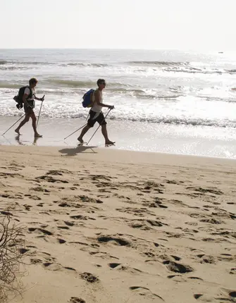 marche-nordique-camargue