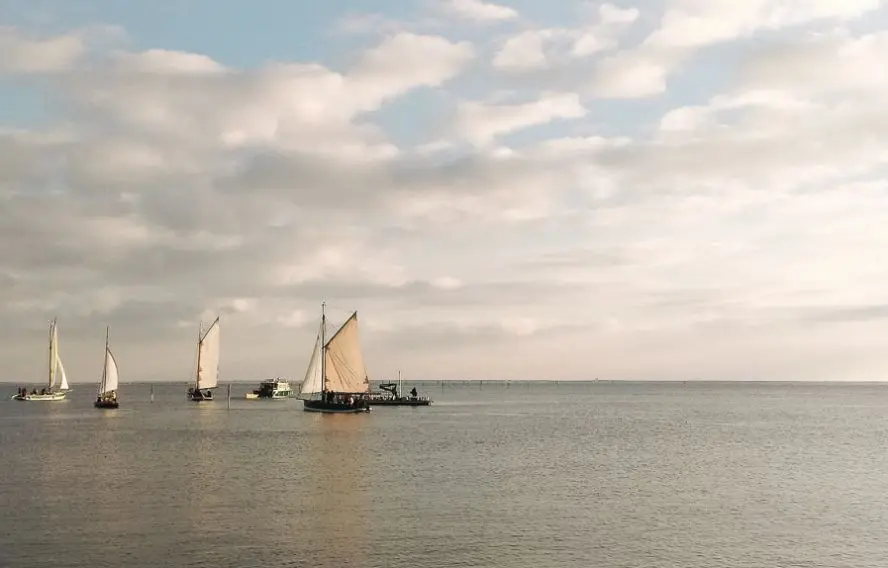 F. Weber Bateaux au large d'Andernos-les-Bains