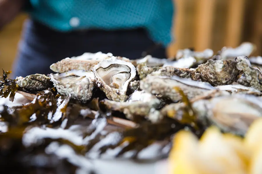 Marche nordique autour du bassin d'Arcachon