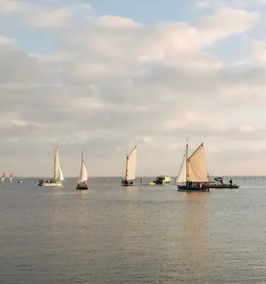 marche-nordique-bassin-arcachon