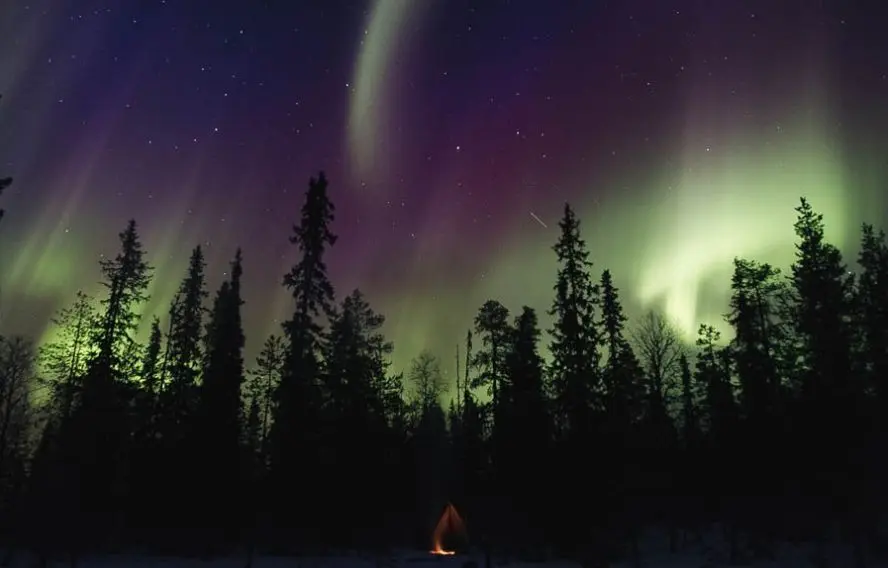 Voyage en raquette - Finlande, raquettes hors piste dans le Parc national d\'Hossa