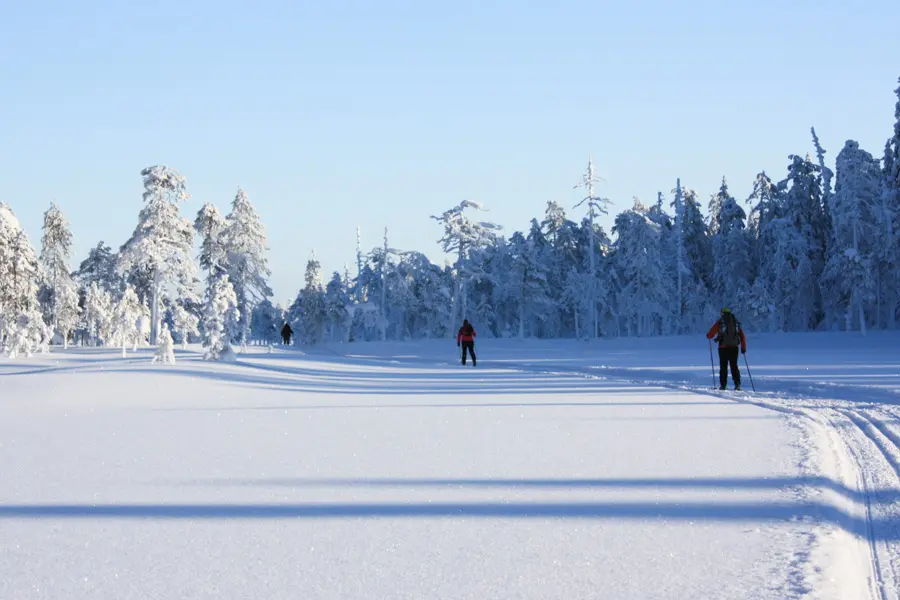 Urpoheikkinen