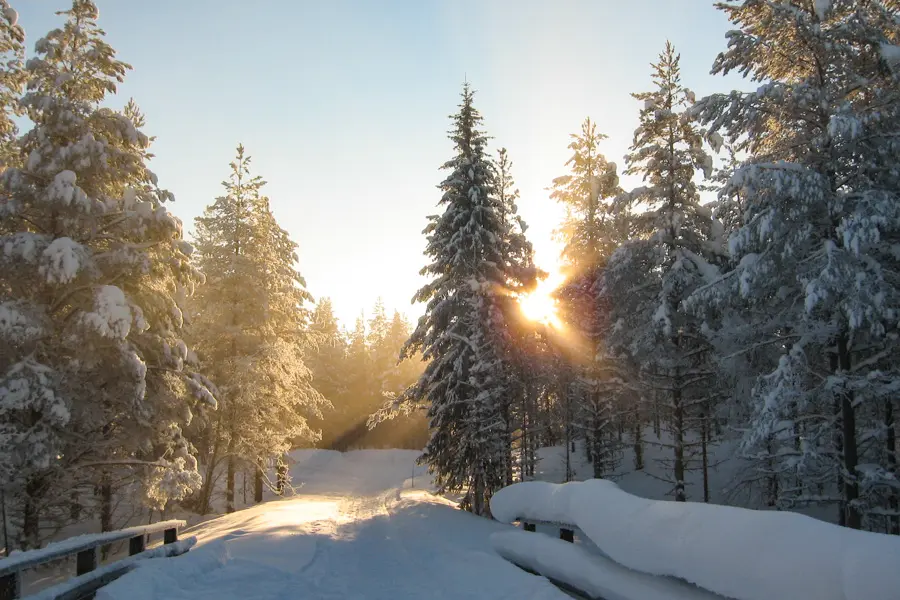 Voyage ski - Ski nordique en Finlande